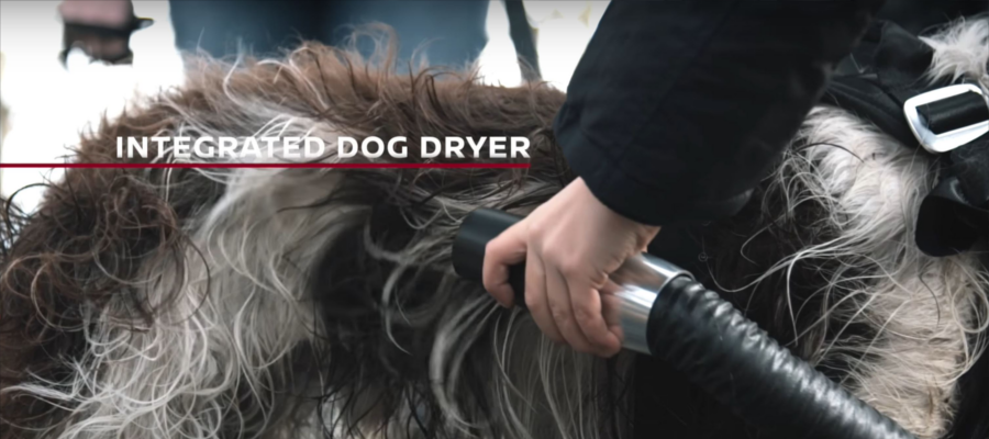 Nissan X-Trail dog har dryer