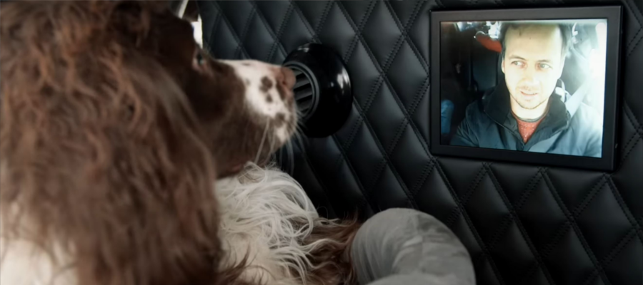 two way dog camera on Nissan X-Trails
