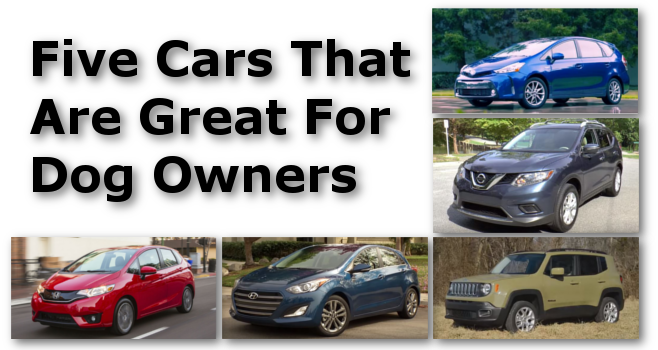 Five Cars That Are Great for Dog Owners - NY, MA, CT