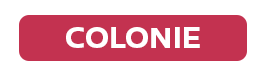 Lia Nissan of Colonie